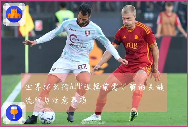 世界杯竞猜APP选择前需了解的关键流程与注意事项
