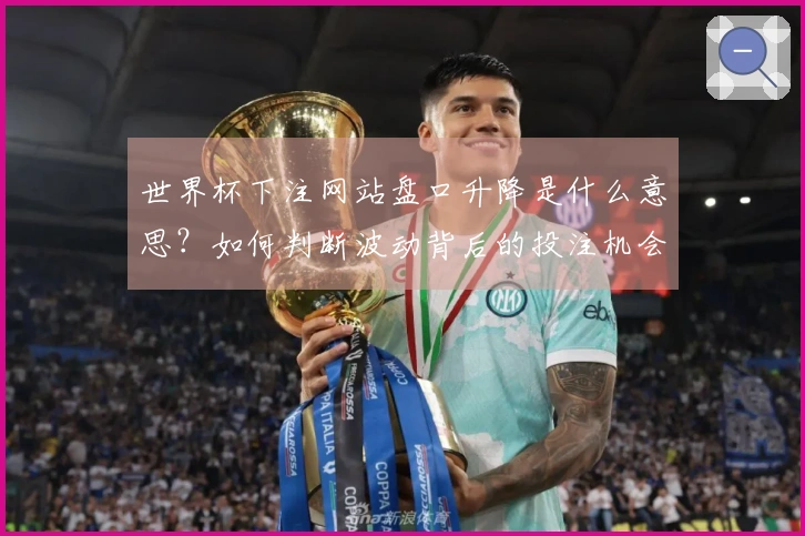 世界杯下注网站盘口升降是什么意思？如何判断波动背后的投注机会与风险