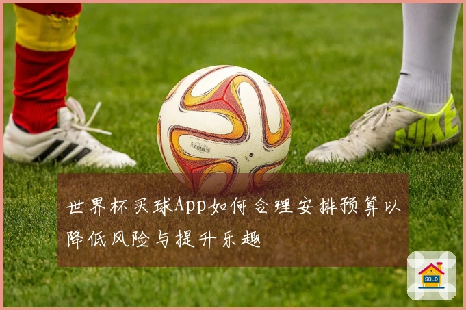 世界杯买球App如何合理安排预算以降低风险与提升乐趣