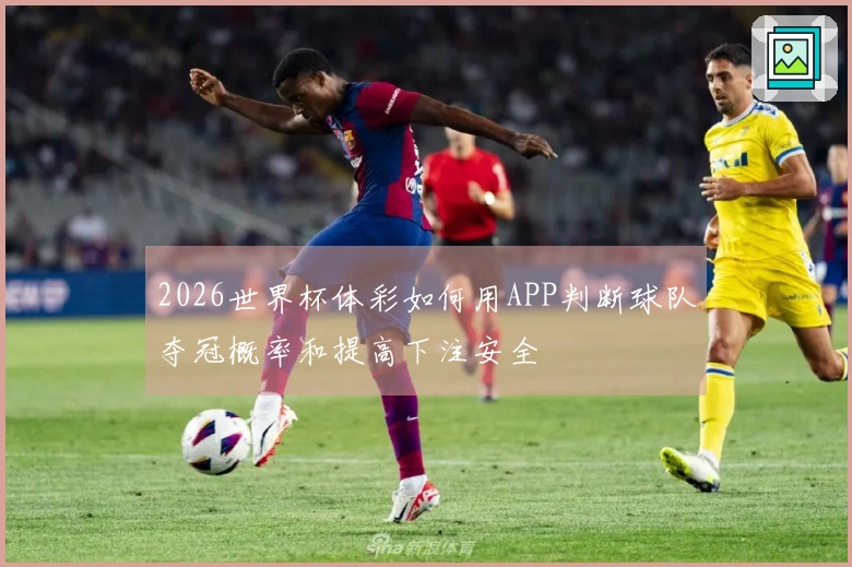 2026世界杯体彩如何用APP判断球队夺冠概率和提高下注安全