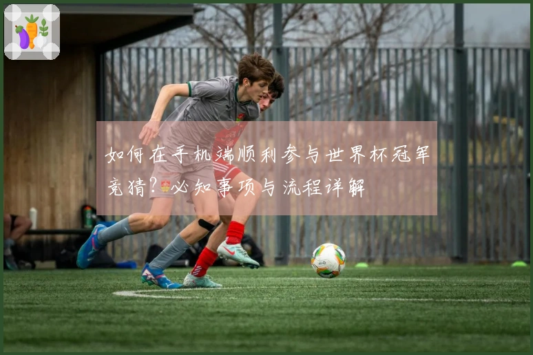 如何在手机端顺利参与世界杯冠军竞猜？必知事项与流程详解