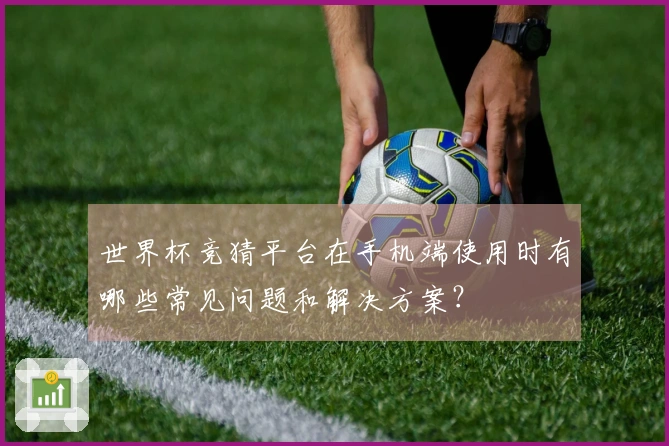 世界杯竞猜平台在手机端使用时有哪些常见问题和解决方案？