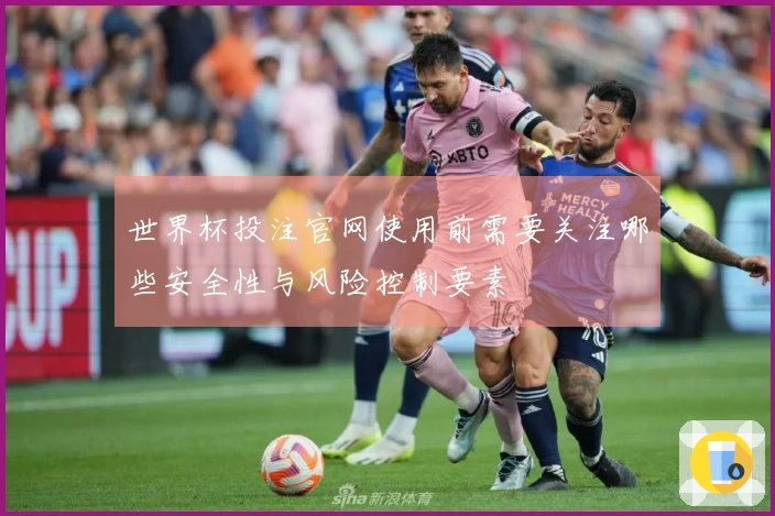 世界杯投注官网使用前需要关注哪些安全性与风险控制要素