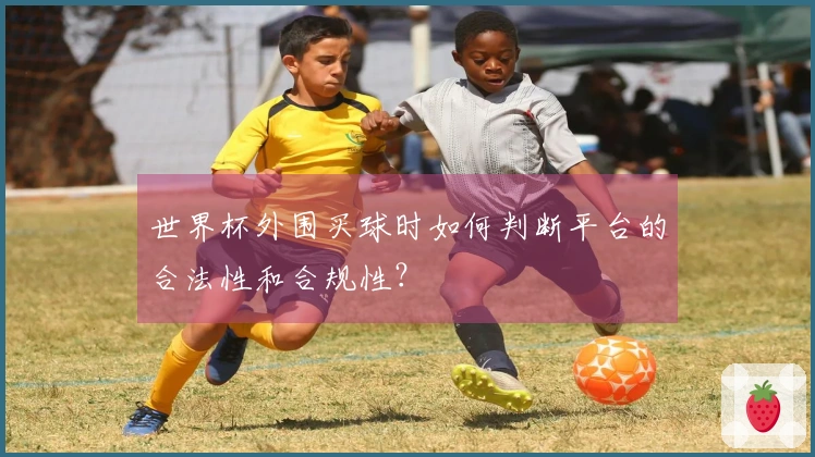 世界杯外围买球时如何判断平台的合法性和合规性？