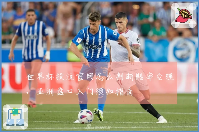 世界杯投注官网怎么判断赔率合理，亚洲盘口入门须知指南