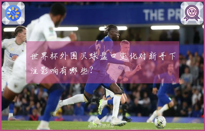 世界杯外围买球盘口变化对新手下注影响有哪些？