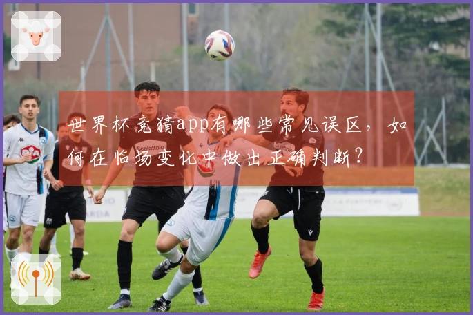 世界杯竞猜app有哪些常见误区，如何在临场变化中做出正确判断？