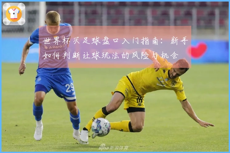 世界杯买足球盘口入门指南：新手如何判断让球玩法的风险与机会