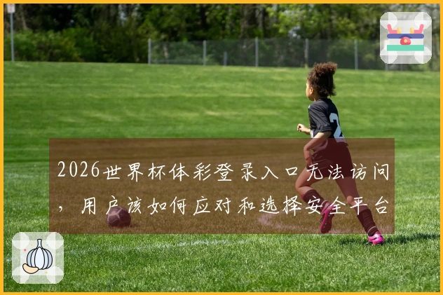 2026世界杯体彩登录入口无法访问，用户该如何应对和选择安全平台？