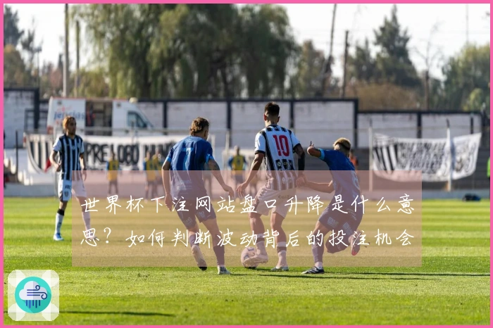 世界杯下注网站盘口升降是什么意思？如何判断波动背后的投注机会与风险