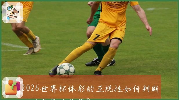 2026世界杯体彩的正规性如何判断，避免常见陷阱？