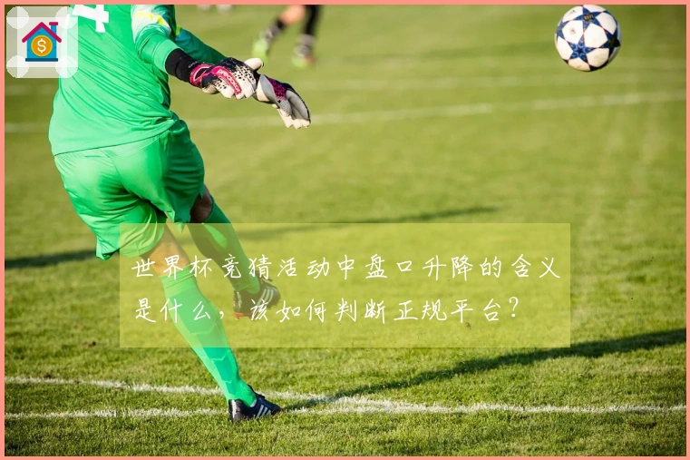 世界杯竞猜活动中盘口升降的含义是什么，该如何判断正规平台？