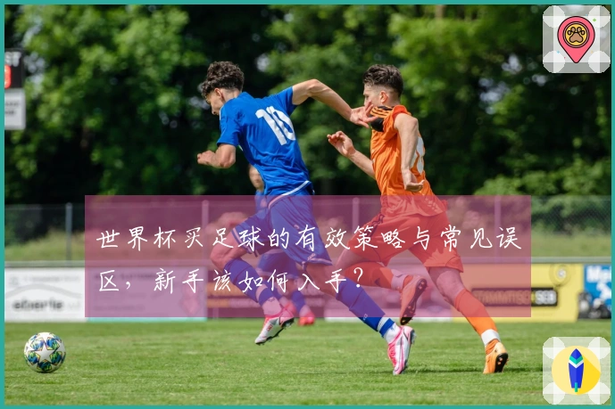 世界杯买足球的有效策略与常见误区，新手该如何入手？