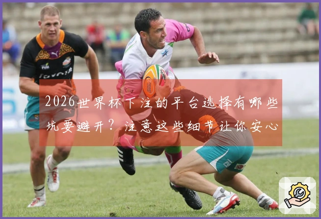 2026世界杯下注的平台选择有哪些坑要避开？注意这些细节让你安心投注