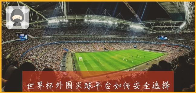 世界杯外围买球平台如何安全选择并判断合规性