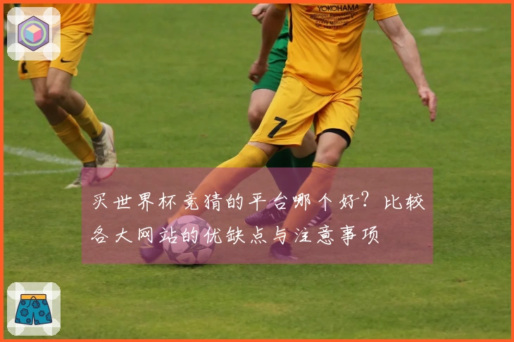 买世界杯竞猜的平台哪个好？比较各大网站的优缺点与注意事项