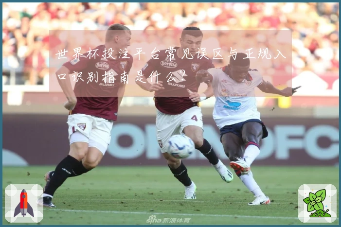 世界杯投注平台常见误区与正规入口识别指南是什么？