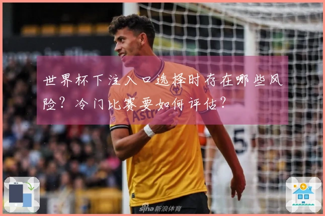 世界杯下注入口选择时存在哪些风险？冷门比赛要如何评估？