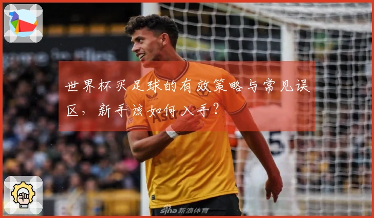 世界杯买足球的有效策略与常见误区，新手该如何入手？