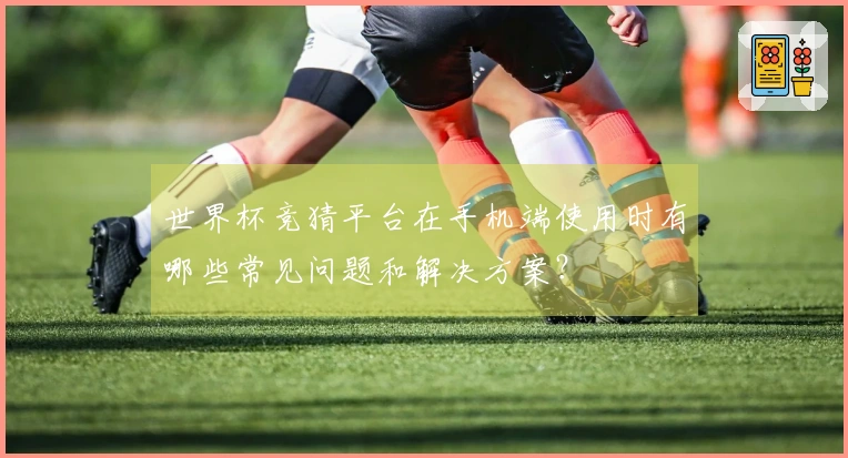 世界杯竞猜平台在手机端使用时有哪些常见问题和解决方案？
