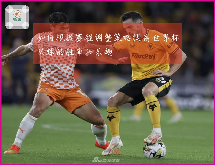如何根据赛程调整策略提高世界杯买球的胜率和乐趣