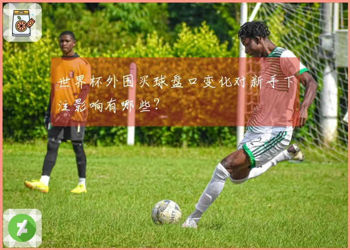 世界杯外围买球盘口变化对新手下注影响有哪些？