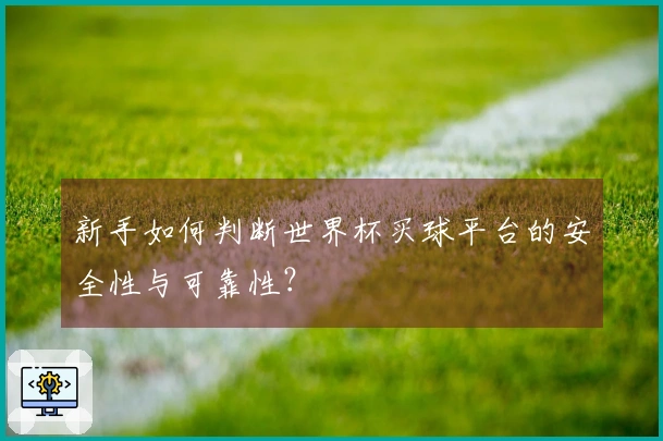 新手如何判断世界杯买球平台的安全性与可靠性？