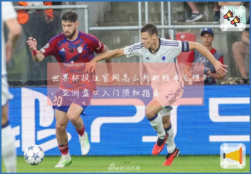 世界杯投注官网怎么判断赔率合理，亚洲盘口入门须知指南