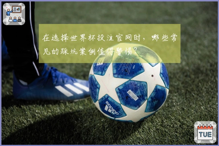 在选择世界杯投注官网时，哪些常见的踩坑案例值得警惕？